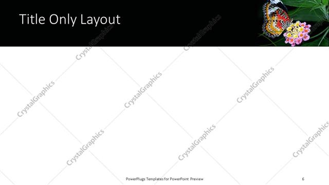 Title Only presentation slide layout