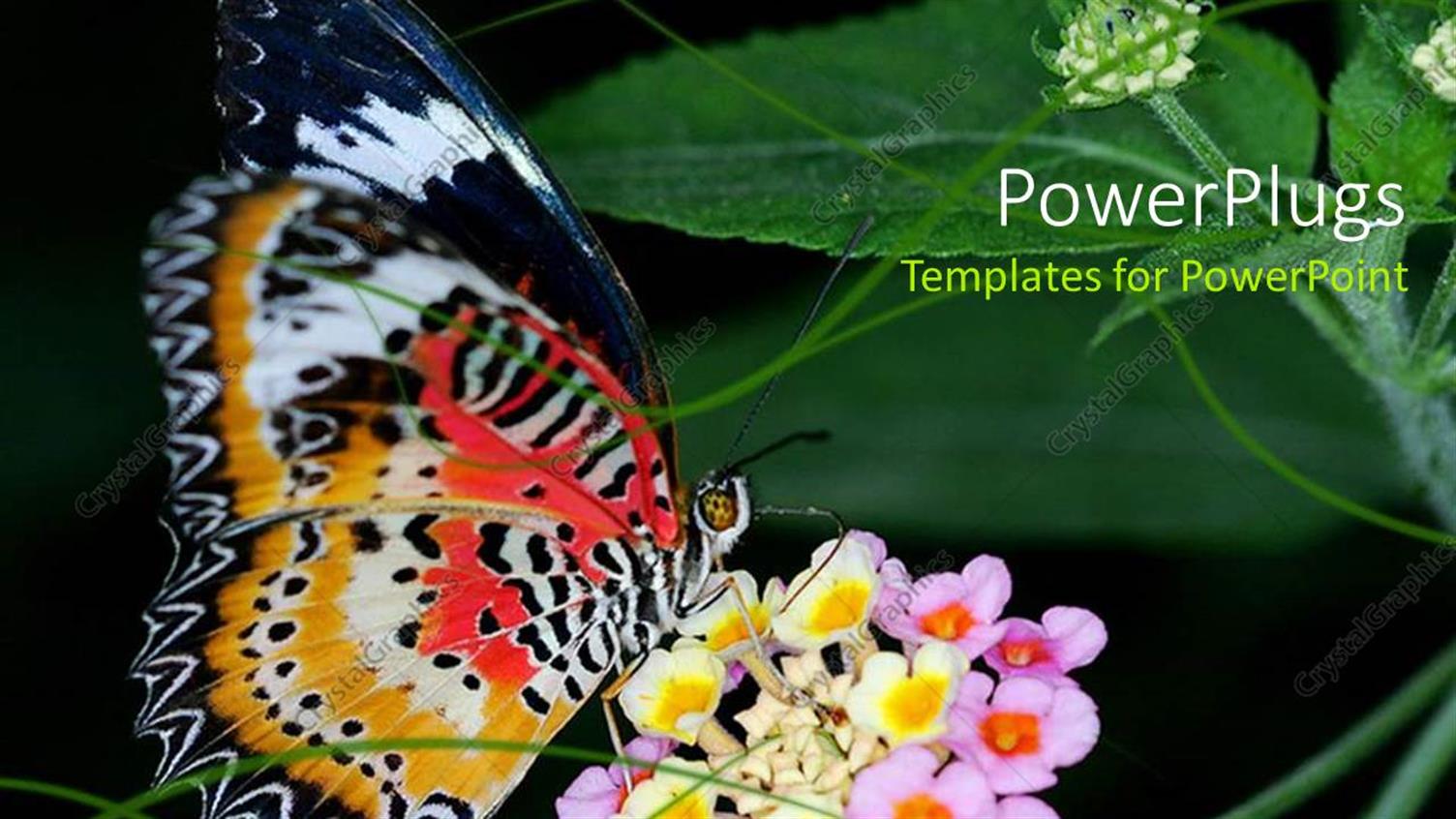 Premium Template for PowerPoint & Google Slides 