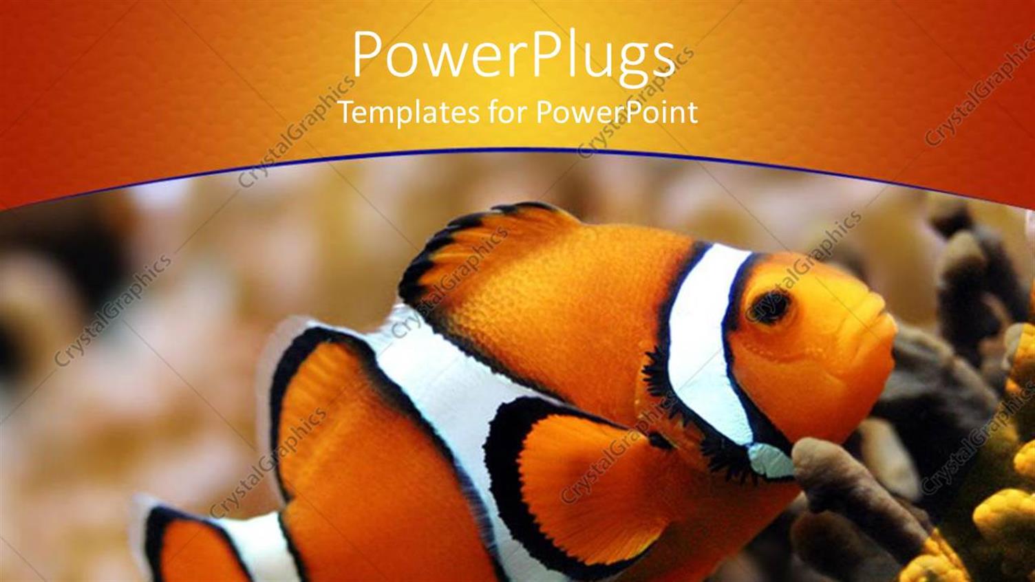 Premium Template for PowerPoint & Google Slides 