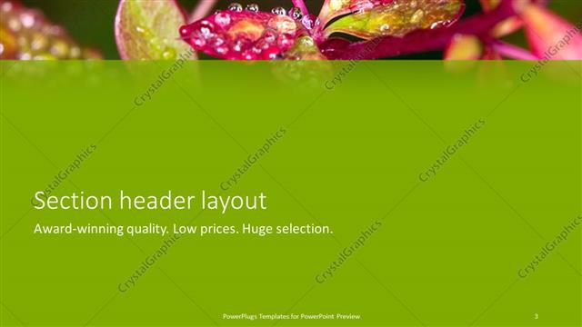 Section Header presentation slide layout