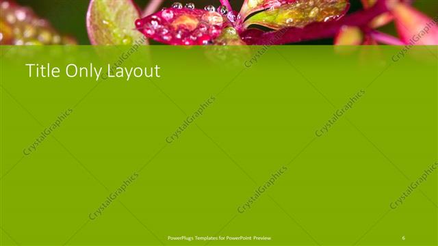 Title Only presentation slide layout