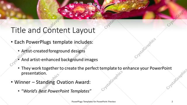 Title and Content presentation slide layout