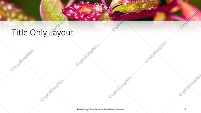 Title Only presentation slide layout