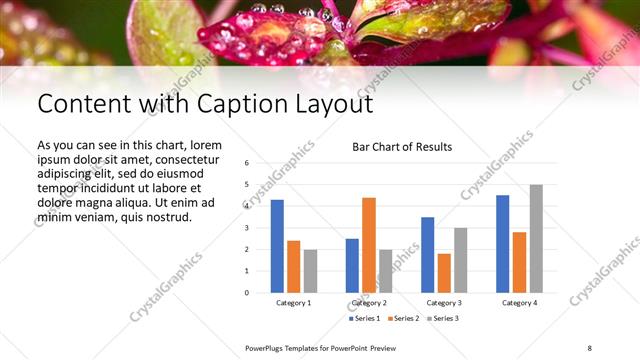 Content with Caption presentation slide layout