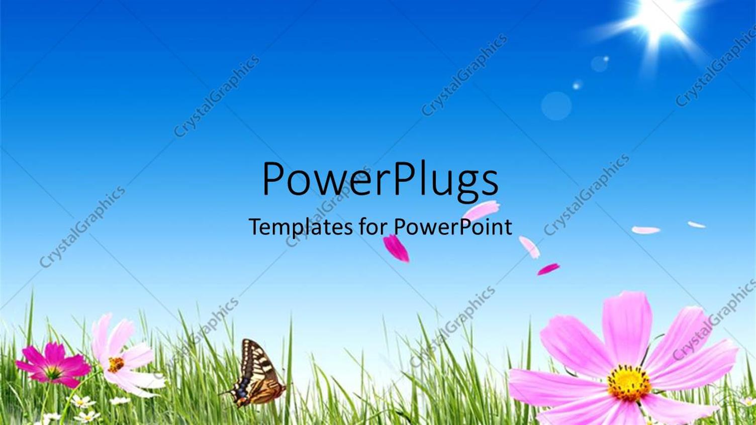 Premium Template for PowerPoint & Google Slides 