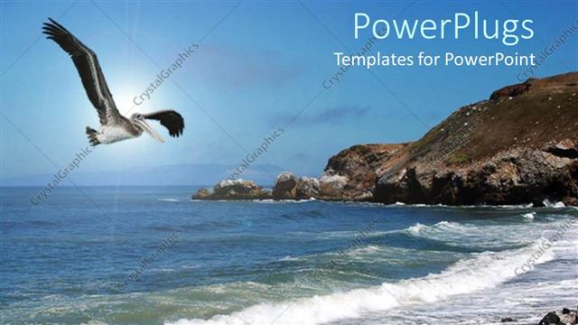  Presentation with flight - Beautiful depiction of a bird, mountain and water side