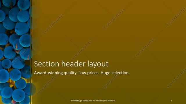 Section Header presentation slide layout