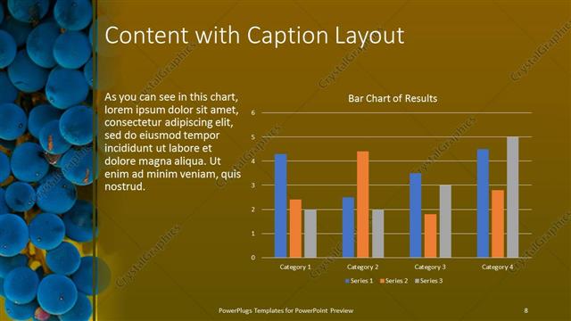 Content with Caption presentation slide layout