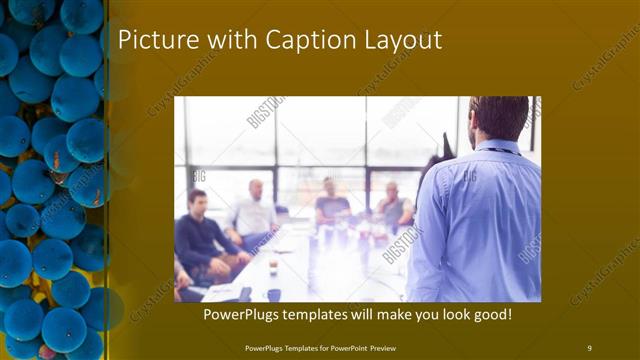 Picture with Caption presentation slide layout
