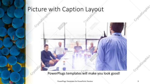 Picture with Caption presentation slide layout