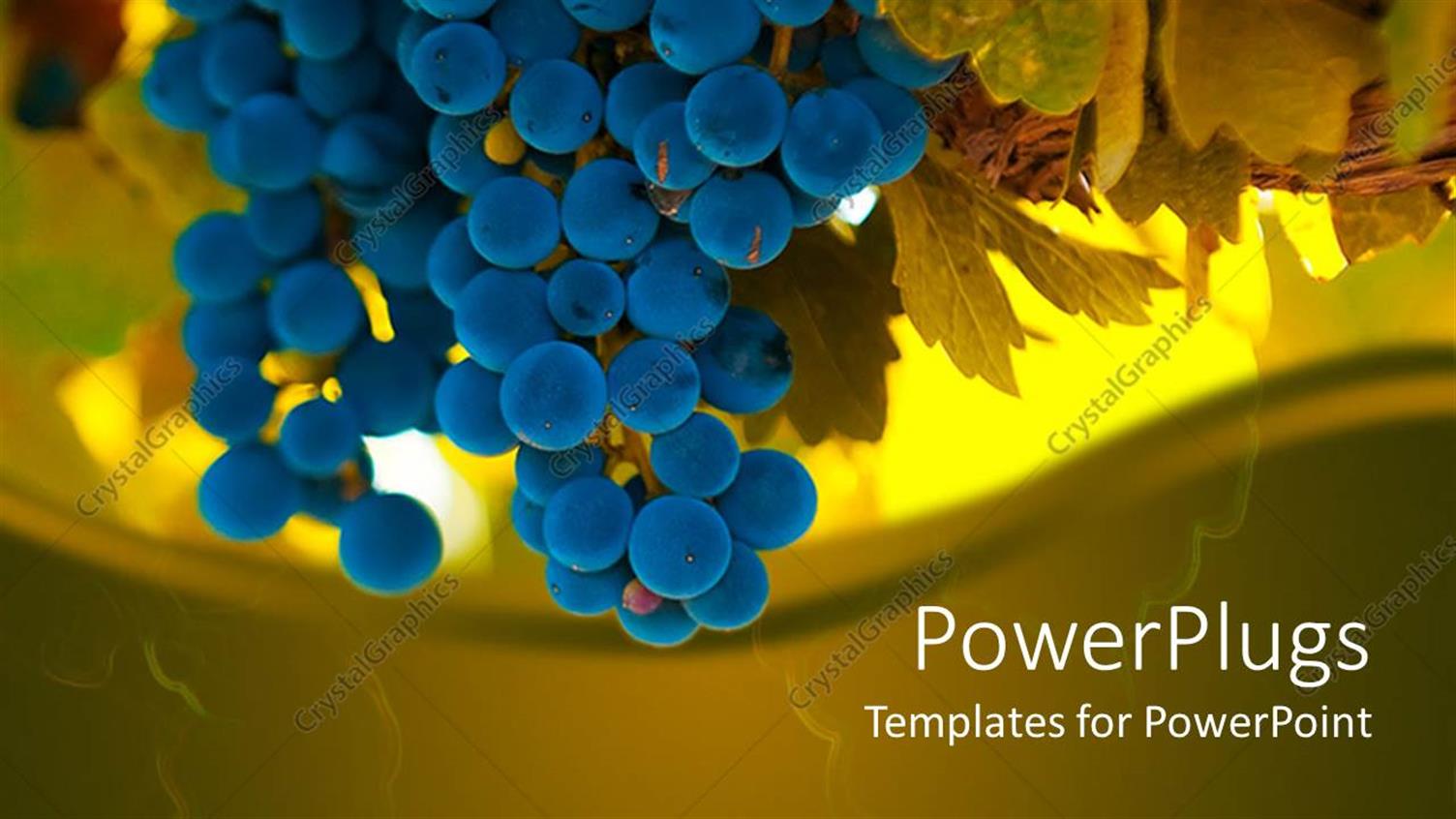 Premium Template for PowerPoint & Google Slides 