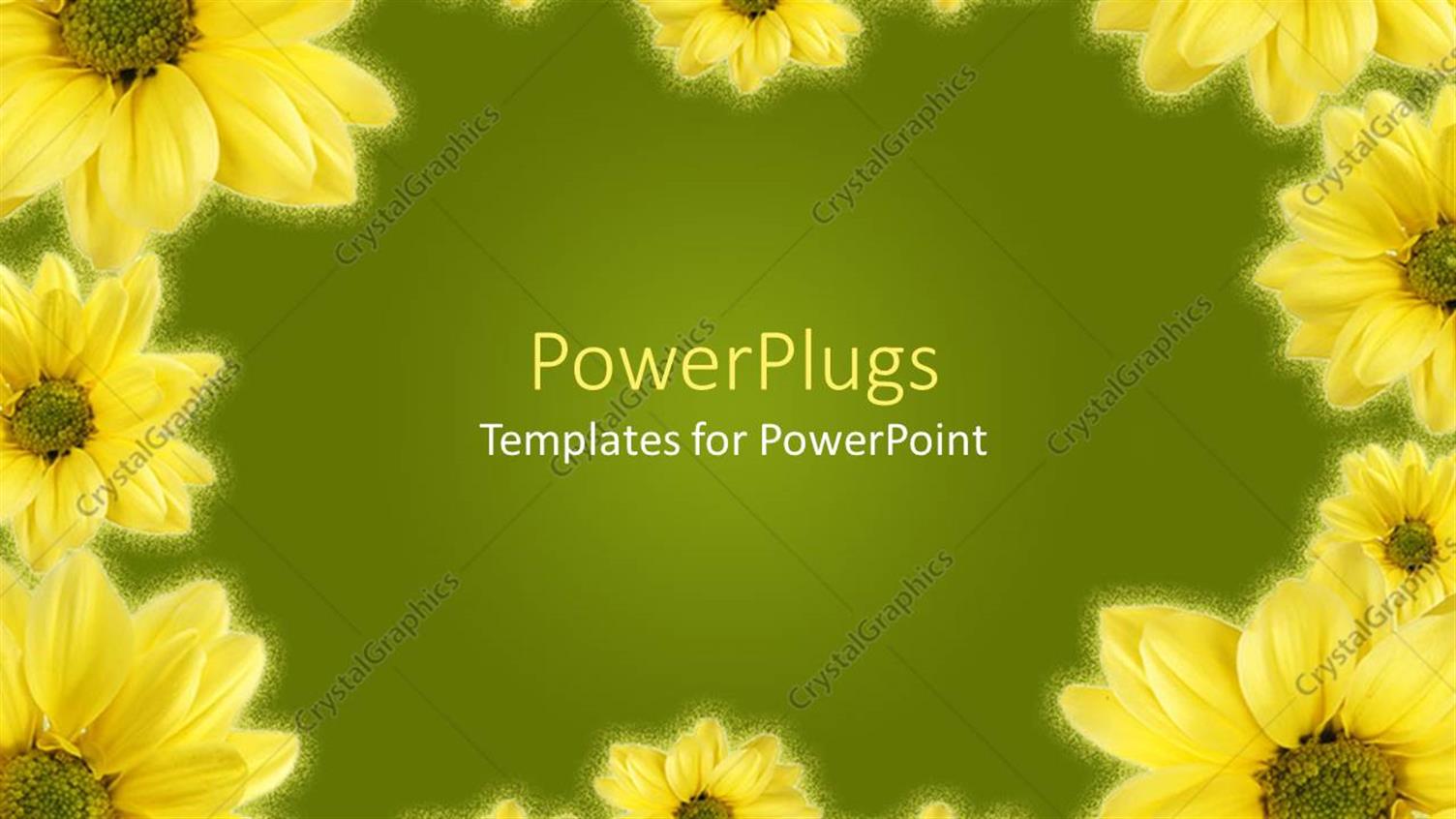 Premium Template for PowerPoint & Google Slides 