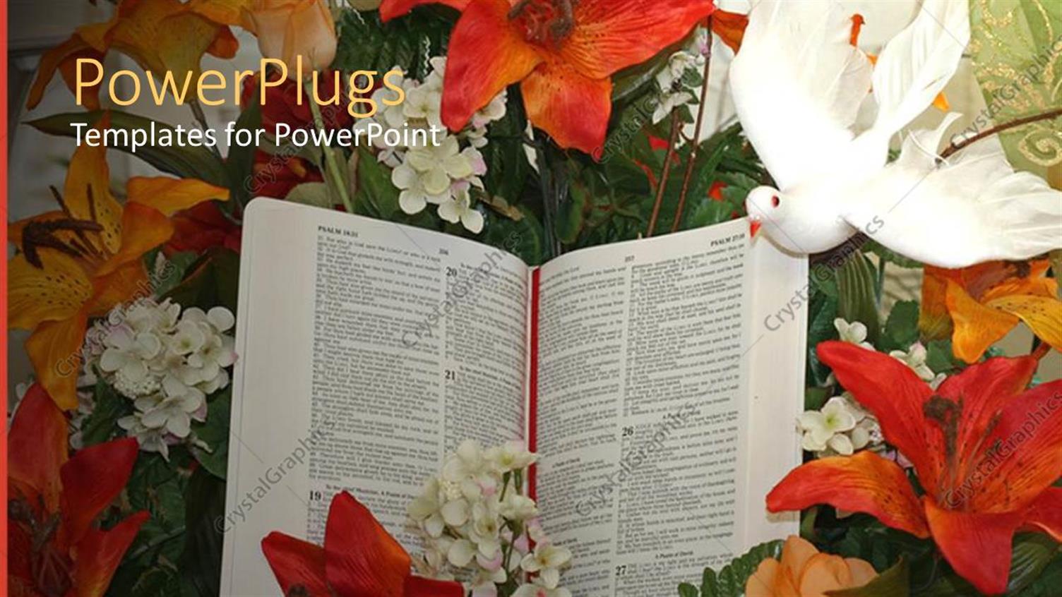 Premium Template for PowerPoint & Google Slides 