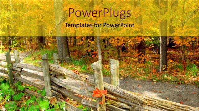  Presentation with forest - A beautiful depiction of a forest and trail passing through it