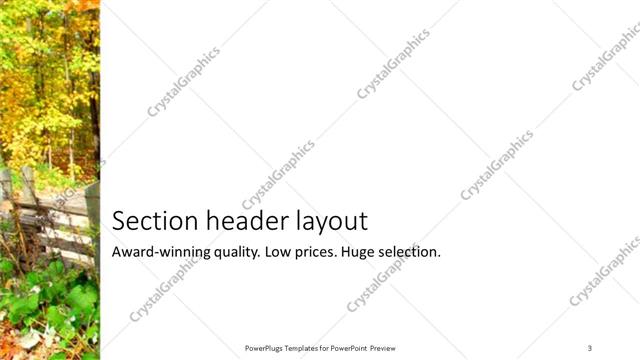 Section Header presentation slide layout