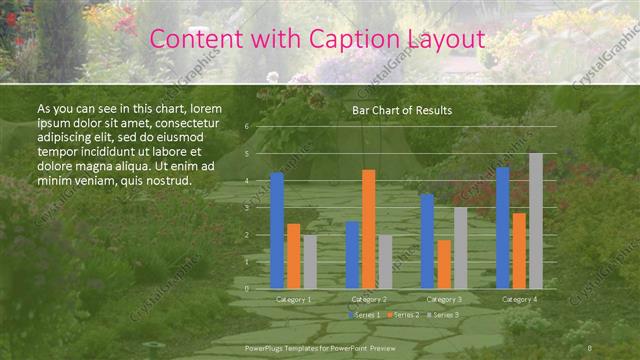 Content with Caption presentation slide layout