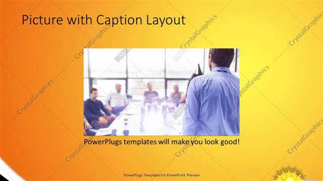 Picture with Caption presentation slide layout