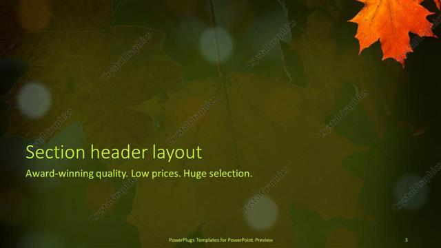 Section Header presentation slide layout