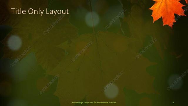 Title Only presentation slide layout