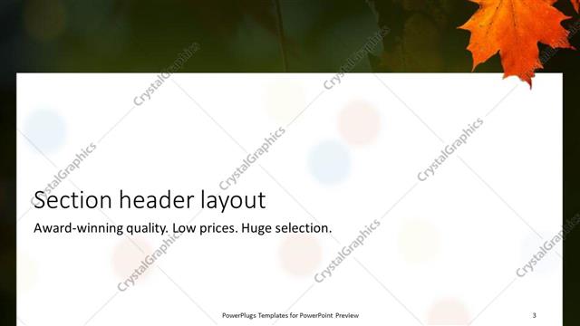 Section Header presentation slide layout