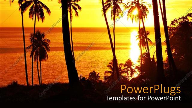  Presentation with palm beach - A beautiful depiction of a number of palm trees on the beach