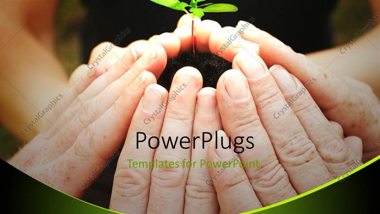 Premium Template for PowerPoint & Google Slides 