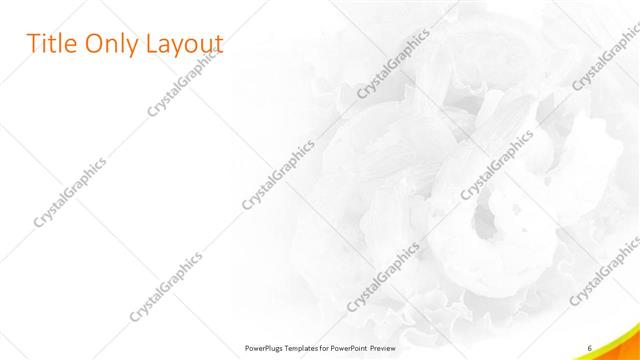 Title Only presentation slide layout