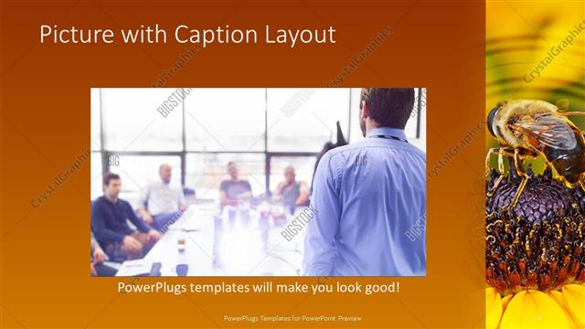 Picture with Caption presentation slide layout