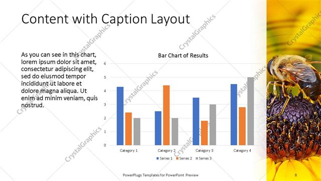 Content with Caption presentation slide layout