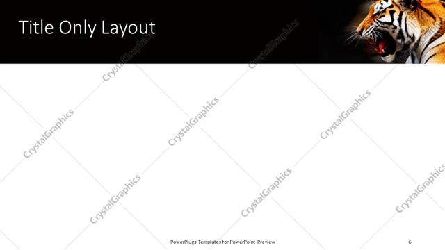 Title Only presentation slide layout