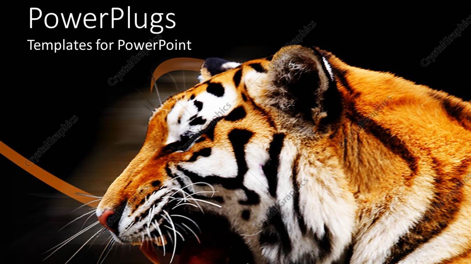 Premium Template for PowerPoint & Google Slides 