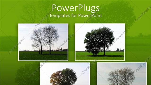 Presentation with beautiful green - A beautiful depiction of various trees with green background