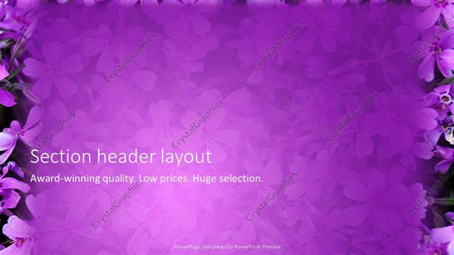 Section Header presentation slide layout