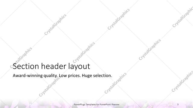 Section Header presentation slide layout