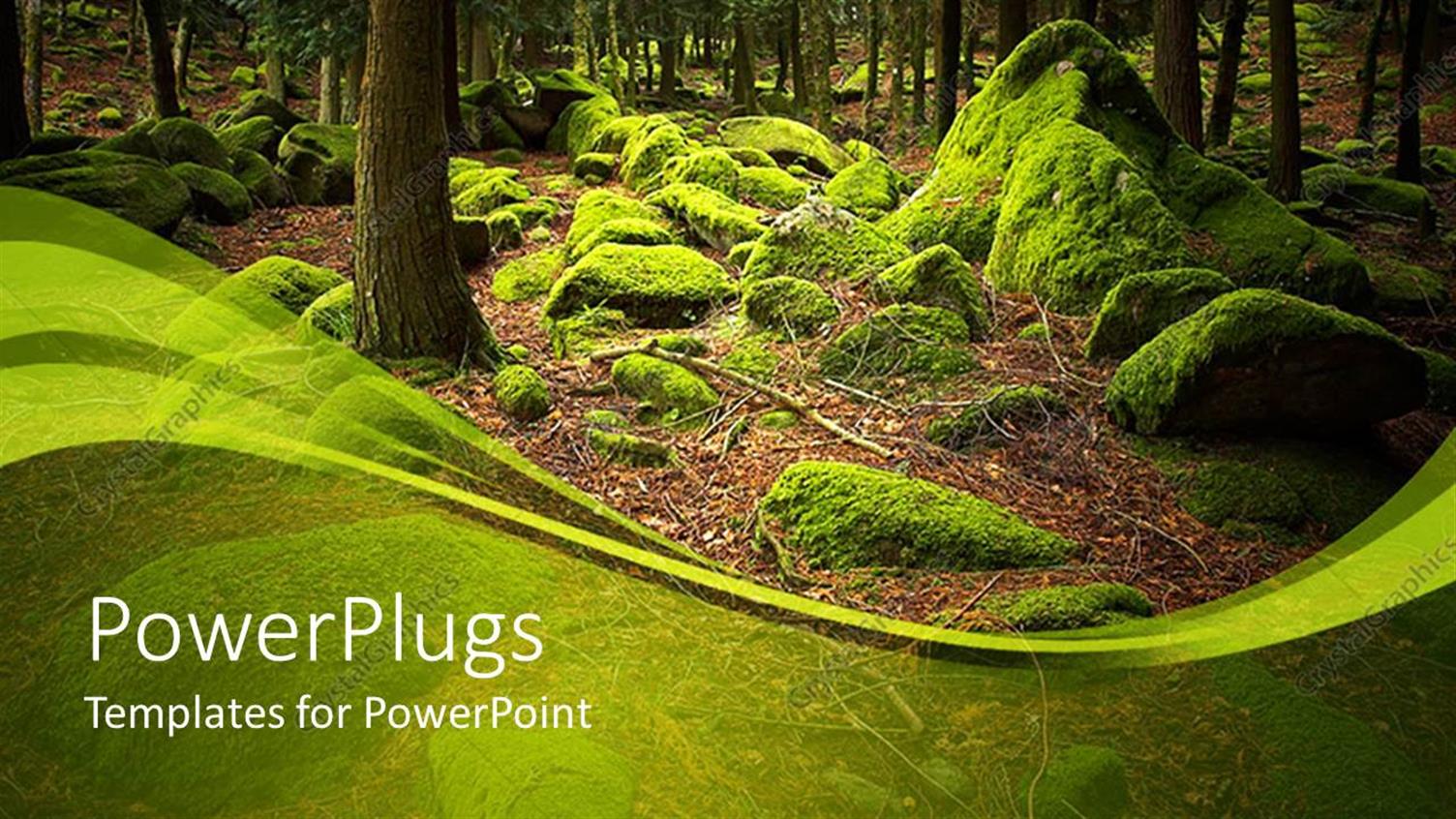 Featuring a Beautiful Depiction of Woods in the Background with Trees and Greenery