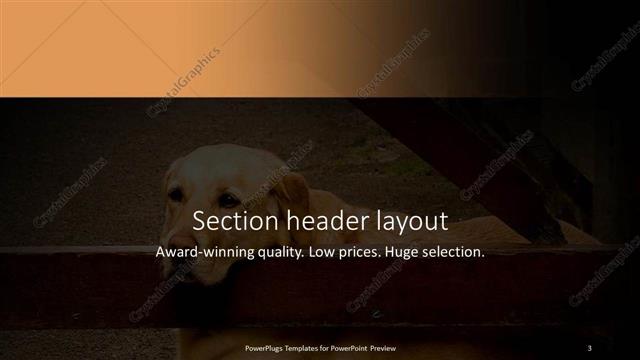 Section Header presentation slide layout