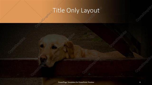 Title Only presentation slide layout