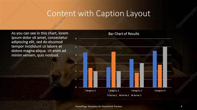 Content with Caption presentation slide layout