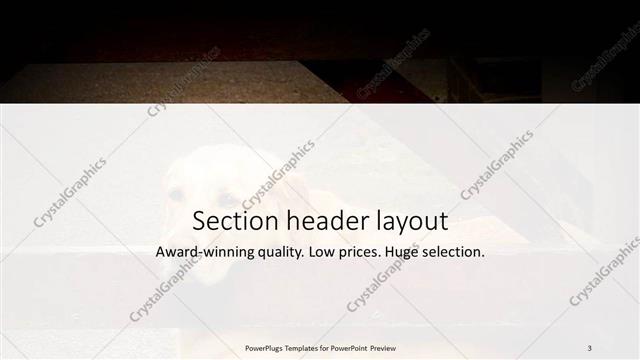 Section Header presentation slide layout