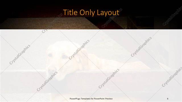 Title Only presentation slide layout