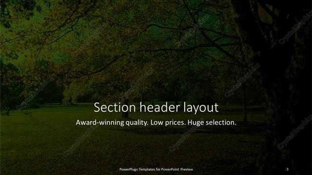 Section Header presentation slide layout