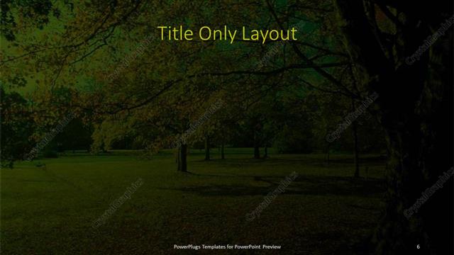 Title Only presentation slide layout