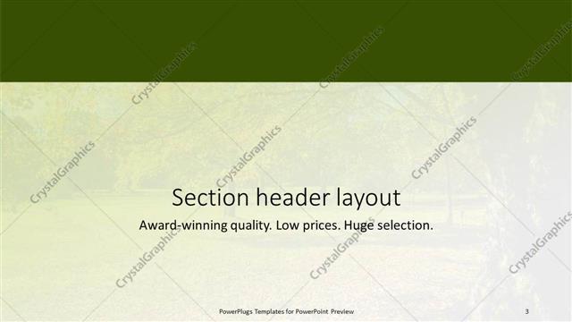 Section Header presentation slide layout