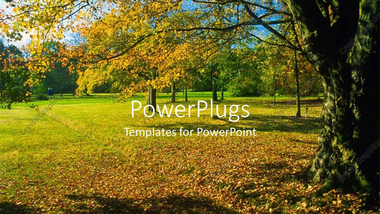 Premium Template for PowerPoint & Google Slides 