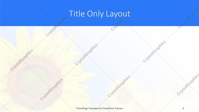 Title Only presentation slide layout