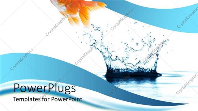  Presentation with clear water - A beautiful fish and a water splash with clear background