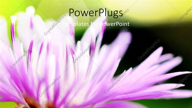  Presentation with green color - Beautiful floral theme with green color