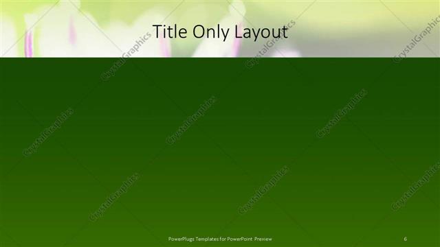 Title Only presentation slide layout