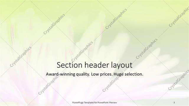 Section Header presentation slide layout