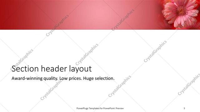 Section Header presentation slide layout